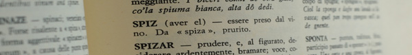 Spiz dal Dizionario del Dialetto Triestino Storico Etimologico Fraseologico di Gianni Pinguentini [Cappelli, Trieste 1969]